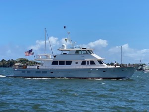 SEA BOLD   3 