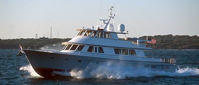 SEA BOLD   46 