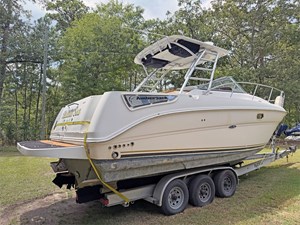 29' Sea Ray 2008 Amberjack 5 