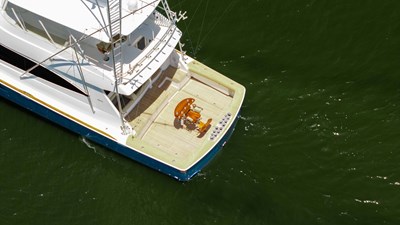 CE 59 2016 Viking 80 Convertible 