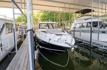 ENDLESS SUMMER 45 Foredeck (in slip)