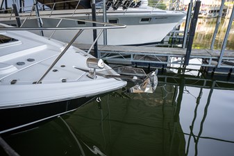 ENDLESS SUMMER 46 Anchor