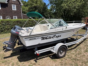 17' Boston Whaler 1996 Dauntless 3 