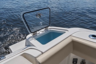 UNPLUGGED 16 Pressurized livewell in aft port corner 