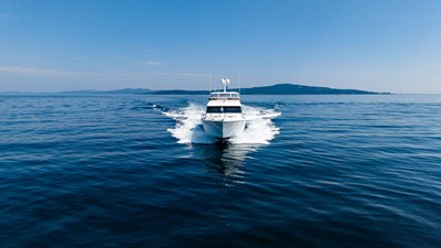 Dawn Trader VII  2 