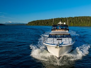 Bella Luna  9 