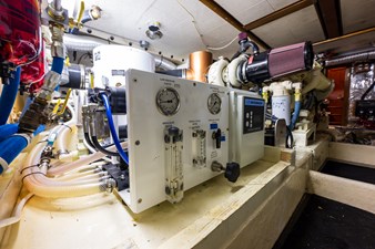 Bella Luna  51 