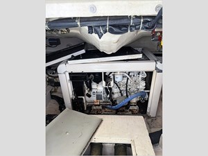 51' Mochi 2005 Dolphin 29 