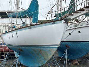 IMG_4242
