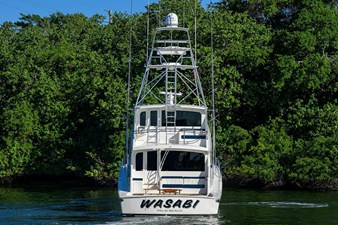 WASABI 36 