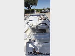 29' Chaparral 2009 290 Express 9 