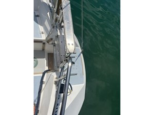 DREAM ON 38 Swimstep and ladder