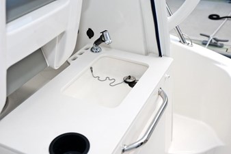 2024 Boston Whaler 285CQ 10