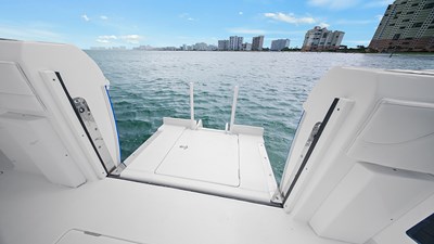 SPONTANEOUS 13 Fold out swim ladder