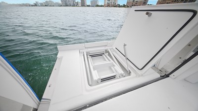 SPONTANEOUS 14 Fold out swim ladder