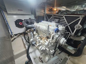 PARADOX 54 