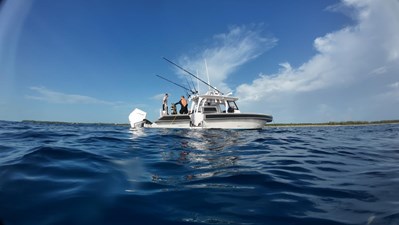 M/Y VIVIERAE II 104 