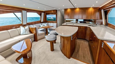 Spacious Salon and Galley