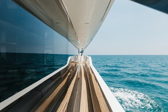 CHAMELEON 61 