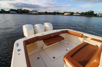 C MONSTER 29 