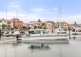 WESTIE 23 