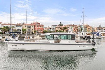 WESTIE 24 