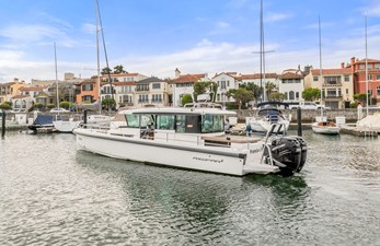 WESTIE 22 
