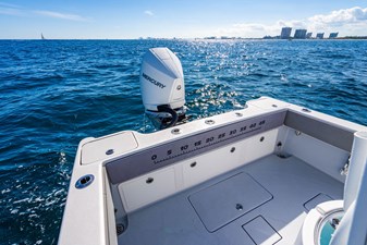 Reef Runner 230 Open 50 