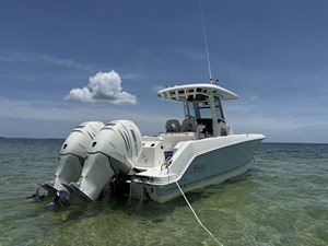 Salty Knots 4 