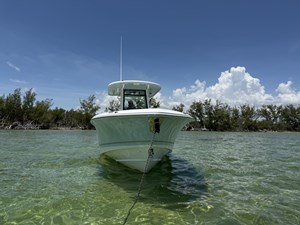 Salty Knots 6 