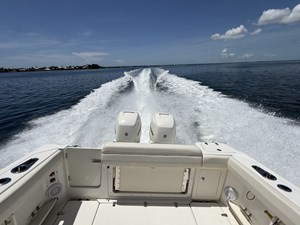 Salty Knots 12 