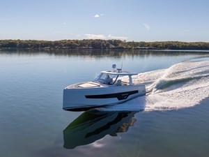 Georgica 8 DJI_20261015152851_0857_D