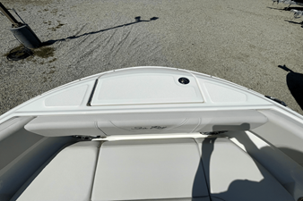2026 Sea Ray SDX 250 Outboard 17