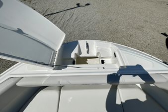 2026 Sea Ray SDX 250 Outboard 18
