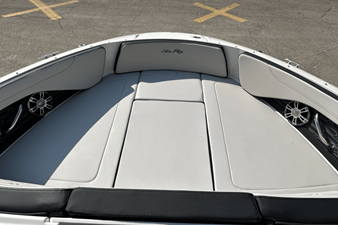 2025 Sea Ray SPX 210 Outboard 15