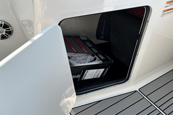 2025 Sea Ray SPX 210 Outboard 20