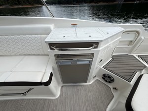 Sea Ray SDX 290 37 2022 Sea Ray SDX 290 38