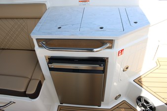 Sea Ray SDX 290 20 2026 Sea Ray SDX 290 21