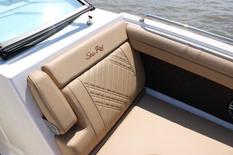 Sea Ray SDX 290 44 2026 Sea Ray SDX 290 45