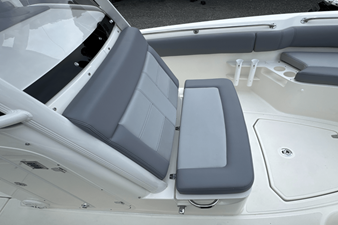 2026 Boston Whaler 230 Outrage 41