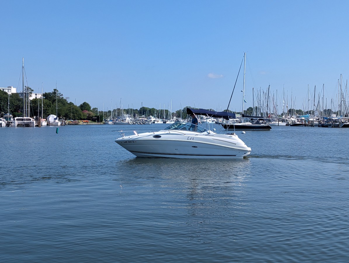 2007 Sea Ray 240 SUNDANCER 5