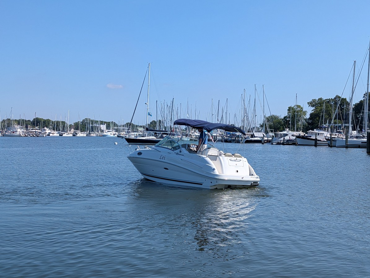 2007 Sea Ray 240 SUNDANCER 6