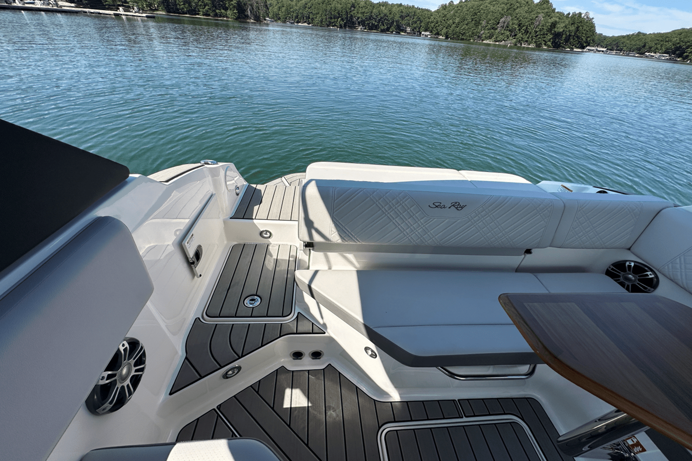 2026 Sea Ray SDX 230 Surf 10