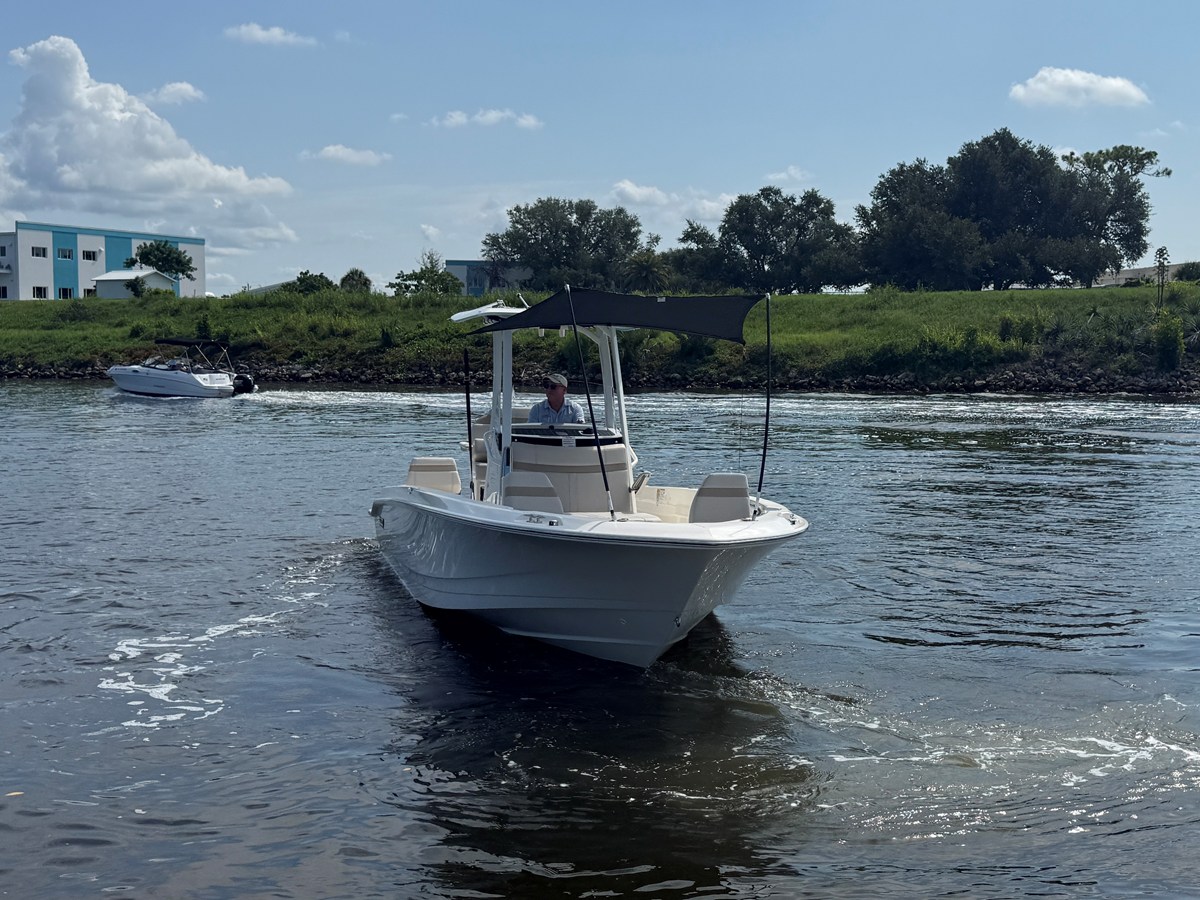 2027 Boston Whaler 250 Dauntless 3