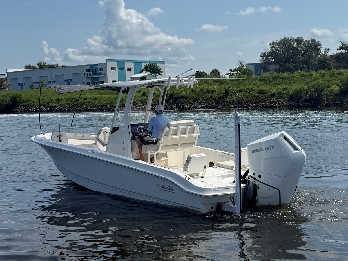 2027 Boston Whaler 250 Dauntless 4