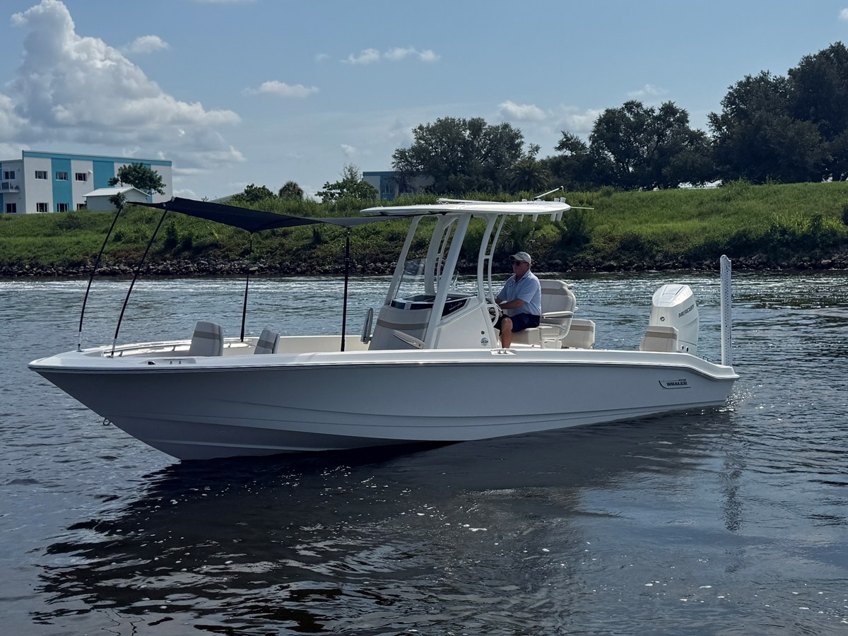 2027 Boston Whaler 250 Dauntless 6