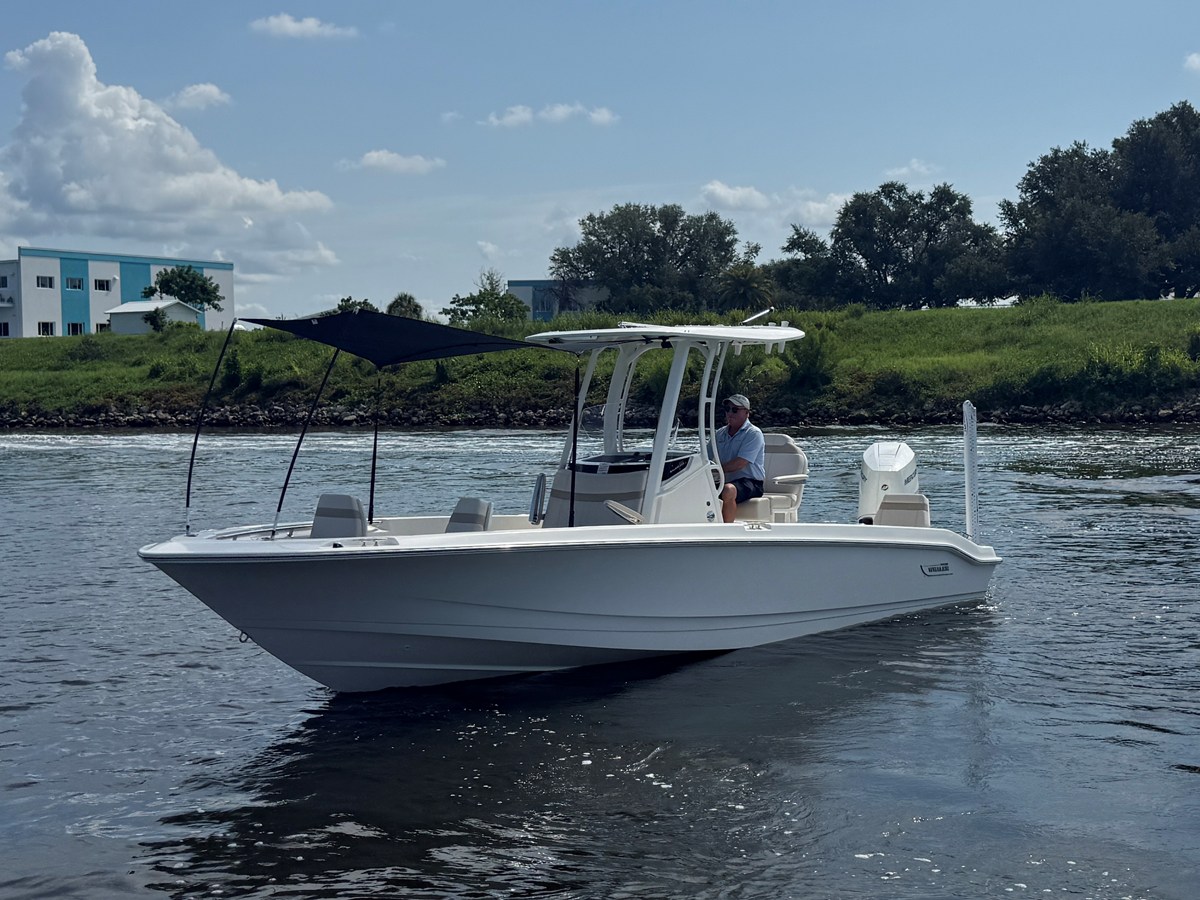 2027 Boston Whaler 250 Dauntless 7