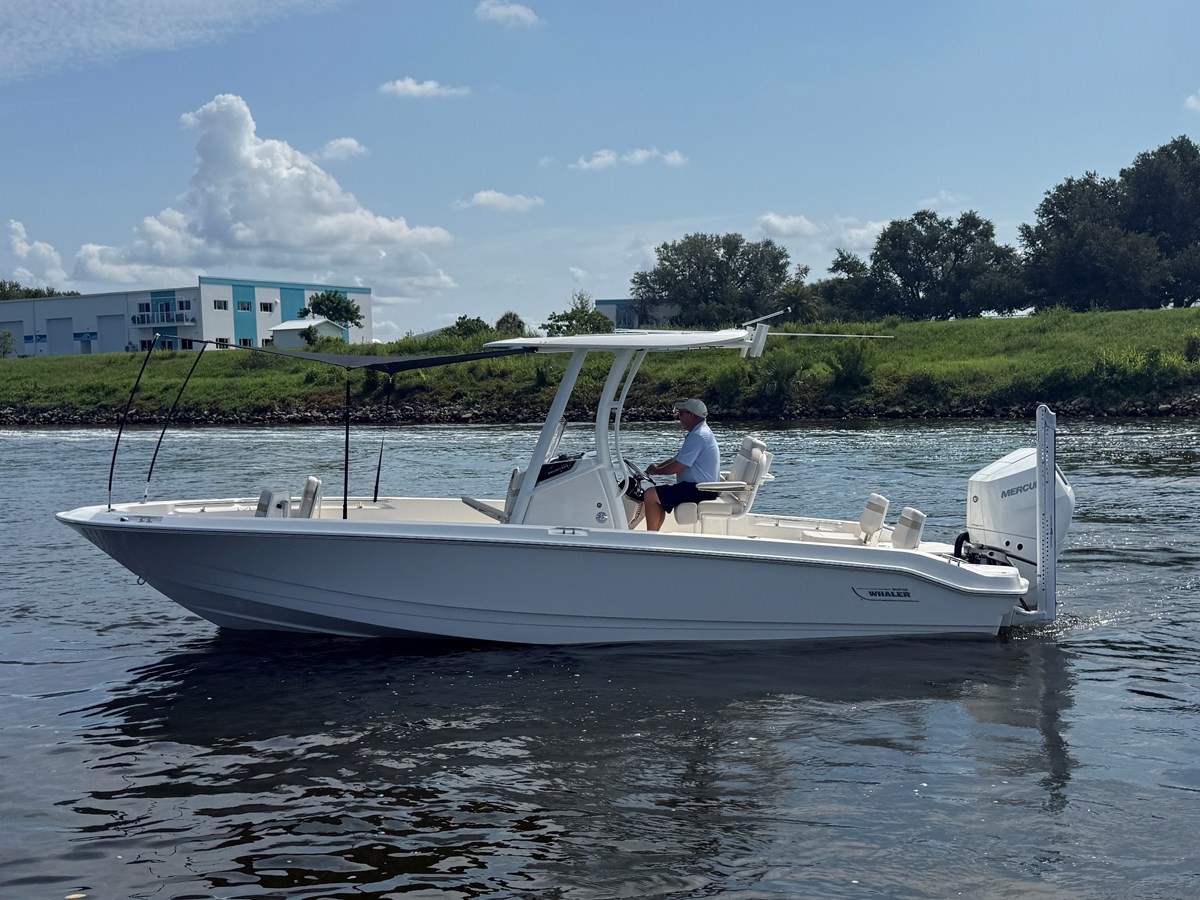 2027 Boston Whaler 250 Dauntless 8