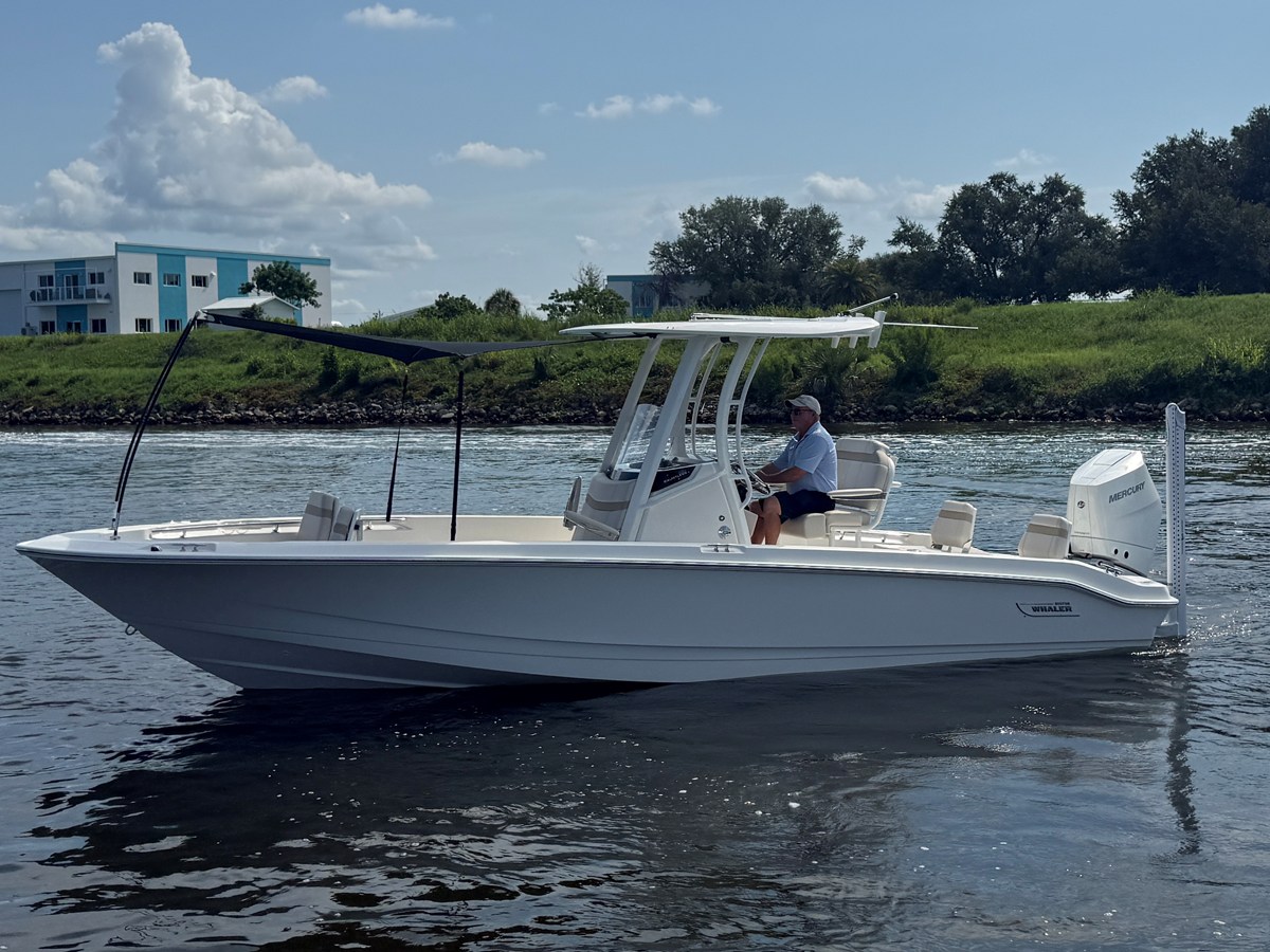 2027 Boston Whaler 250 Dauntless 9
