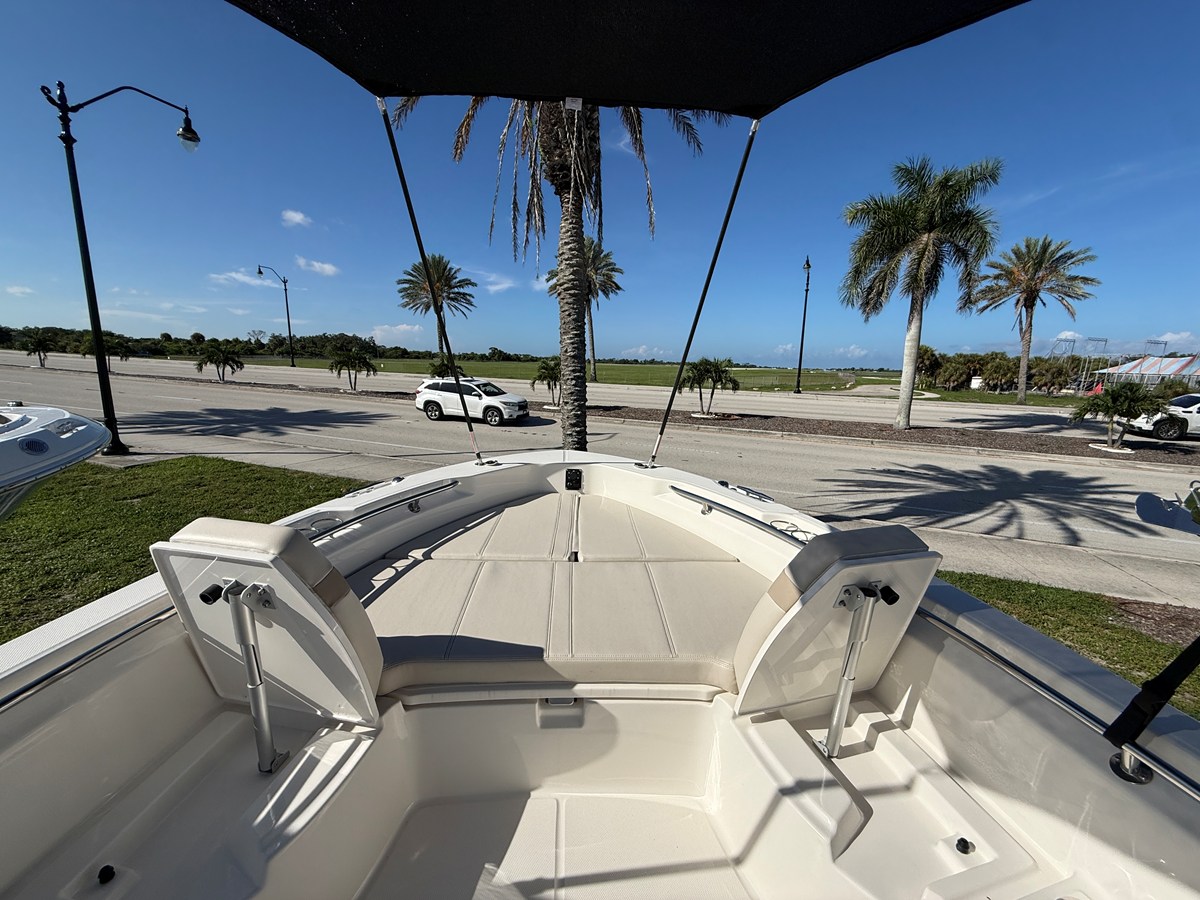 2027 Boston Whaler 250 Dauntless 10